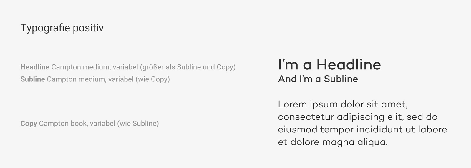Typografie - 