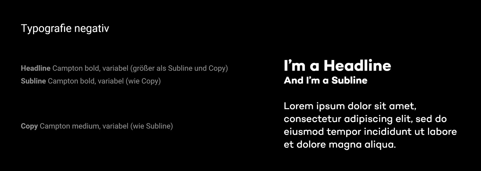 Typografie - 